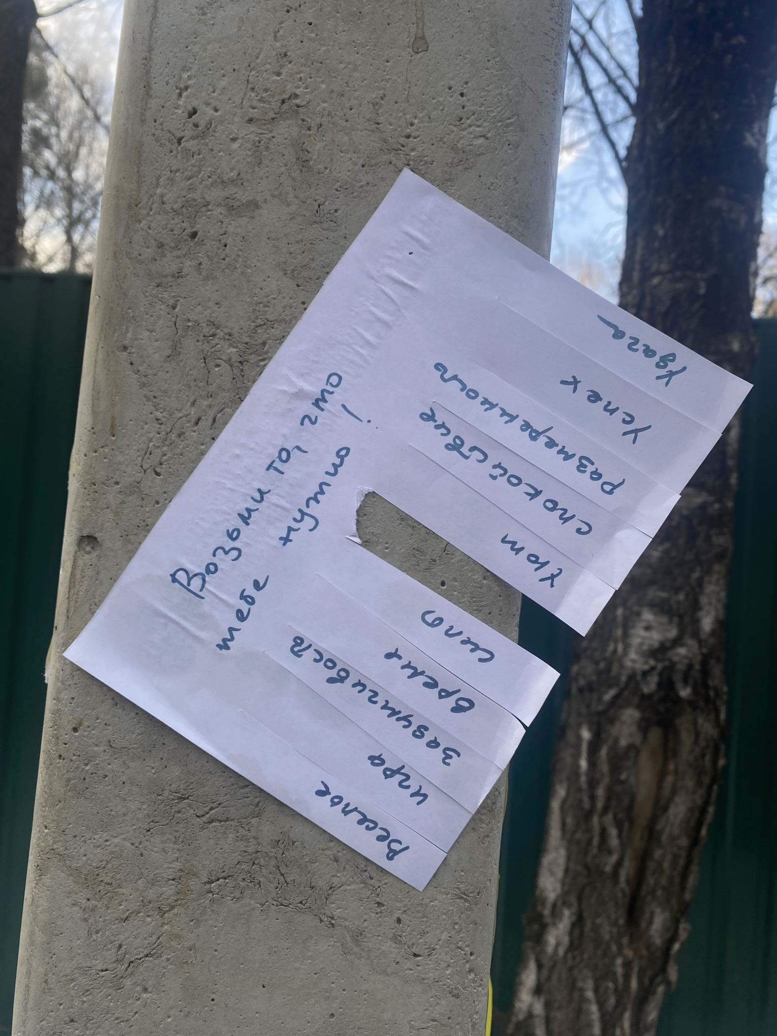 игра «Кот счастья»