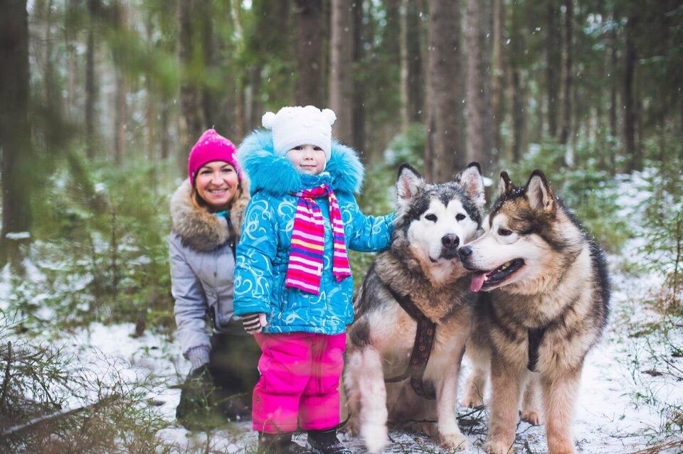 В гости к ХАСКИ: «лапы, уши и хвосты»