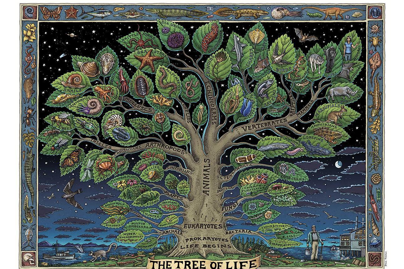 Лекция Ильи Удалова "Как ломается древо жизни: молекулярная революция в биологии" (СПб+онлайн)