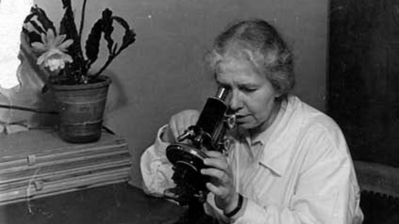 «Божественная Литургия. Молитвенные дневники. 1976» монахини Игнатии (Пузик)