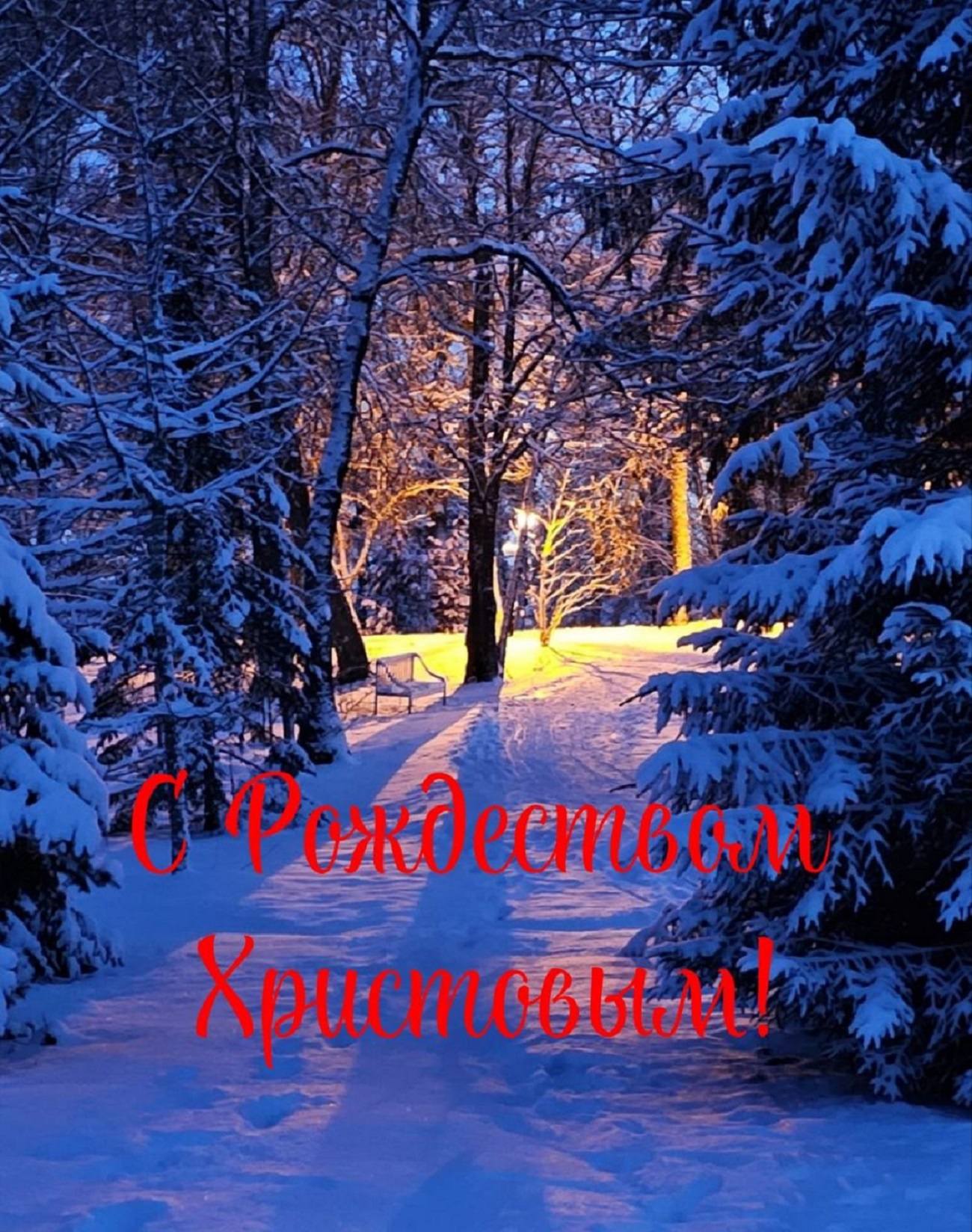 Сельма Лагерлёф «Роза Христиан» (Швеция)