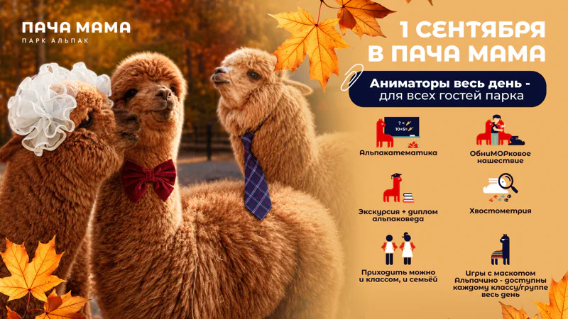 1 сентября Пача Мама