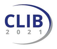 Кластер промышленной биотехнологии CLIB2021 (Open Innovation Cluster, The Bioeconomy Cluster for International Chemical and Energy Markets)