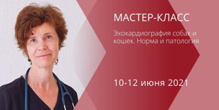 Мастер-класс "Эхокардиография собак и кошек. Норма и патология"