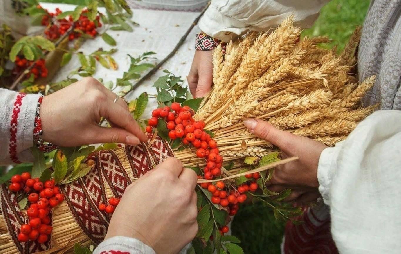 Интерактивная программа «Время золотых колосьев»