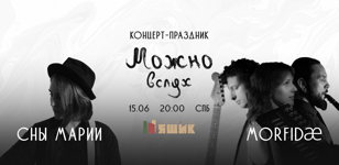 Сны Марии | Morfidæ 