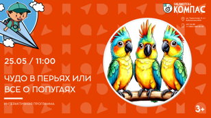 Чудо в перьях или все о попугаях (3+)