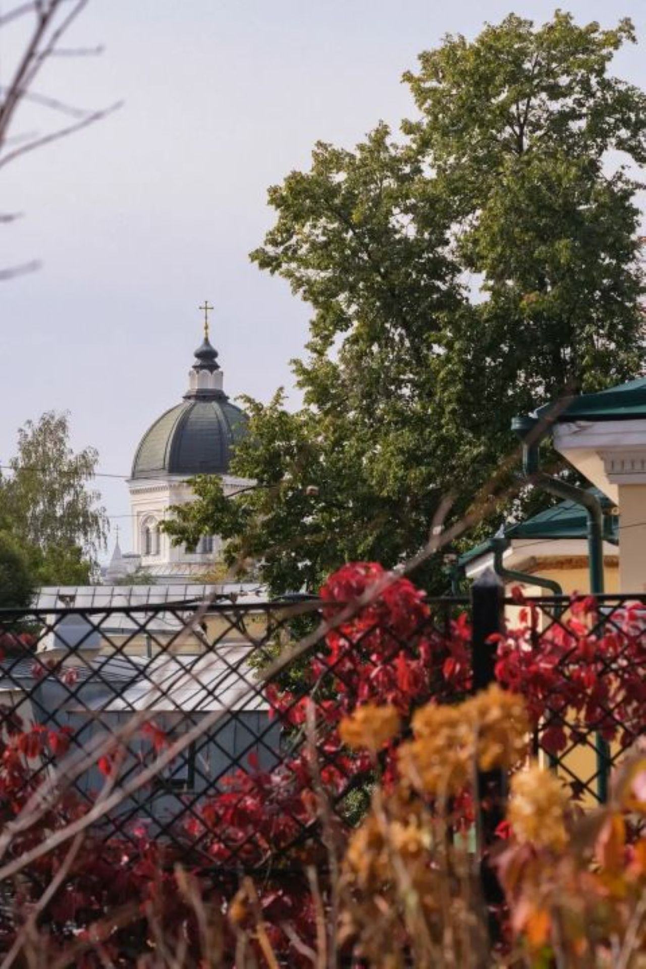 Детективные истории Ивановской горки