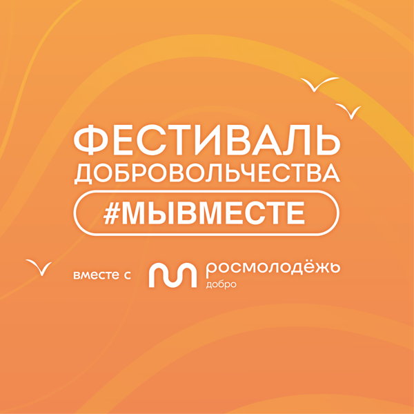 Фестиваль добровольчества #МЫВМЕСТЕ