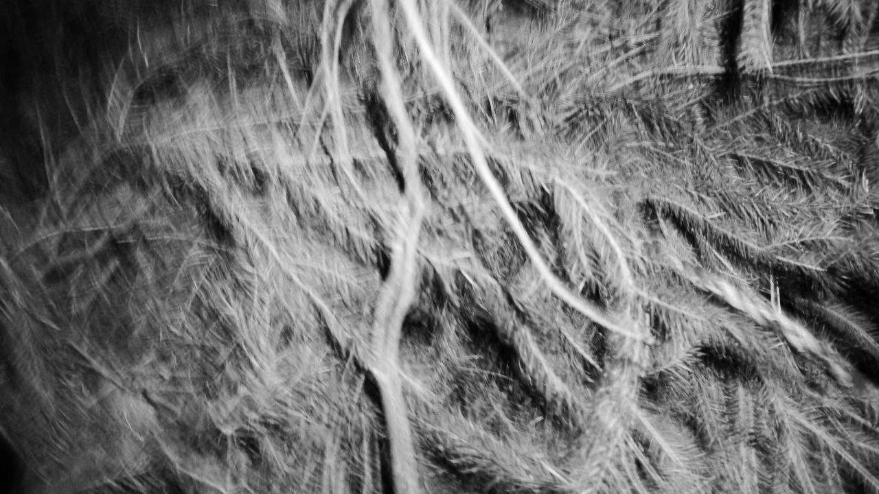 СОВРЕМЕННЫЕ ТЕНДЕНЦИИ В ВИДЕОАРТЕ | ЛЕКЦИЯ-ТРЕНИНГ