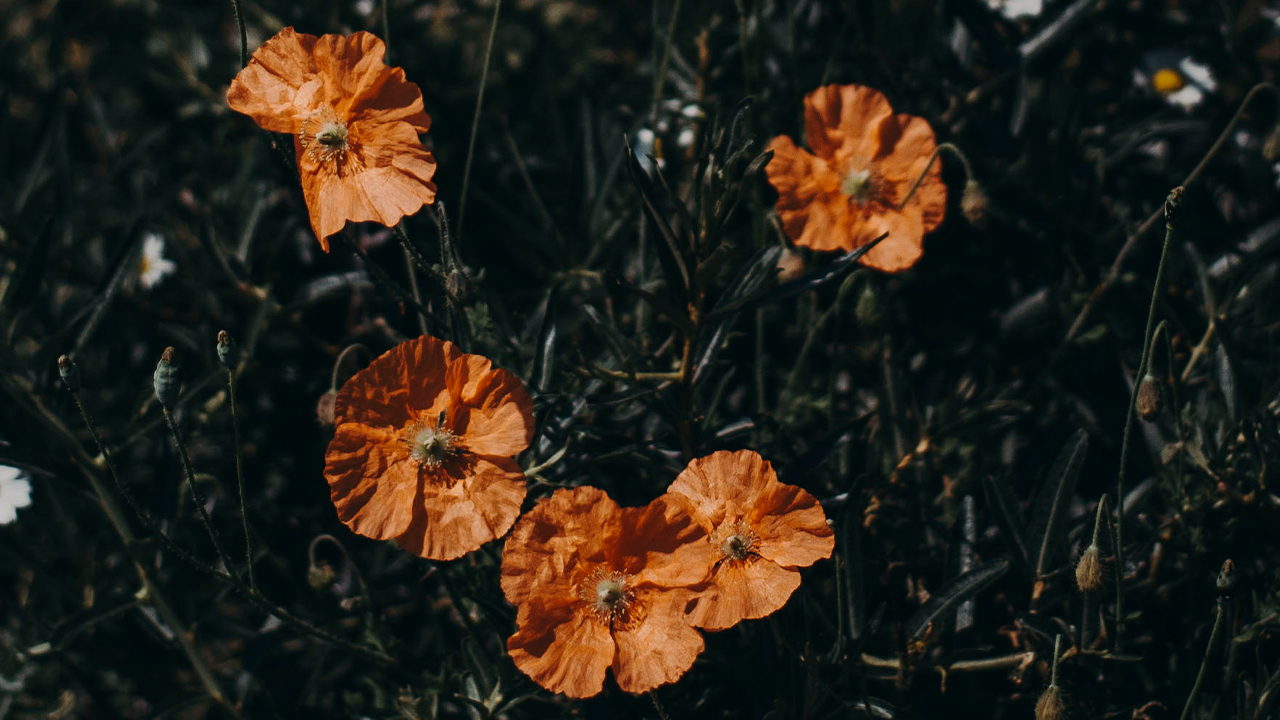 Лекция-беседа "Ресурсное состояние и как найти энергию в условиях цейтнота"