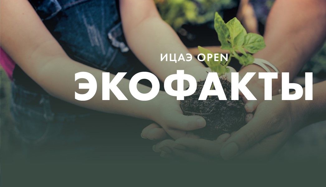 ИЦАЭ OPEN. Экофакты