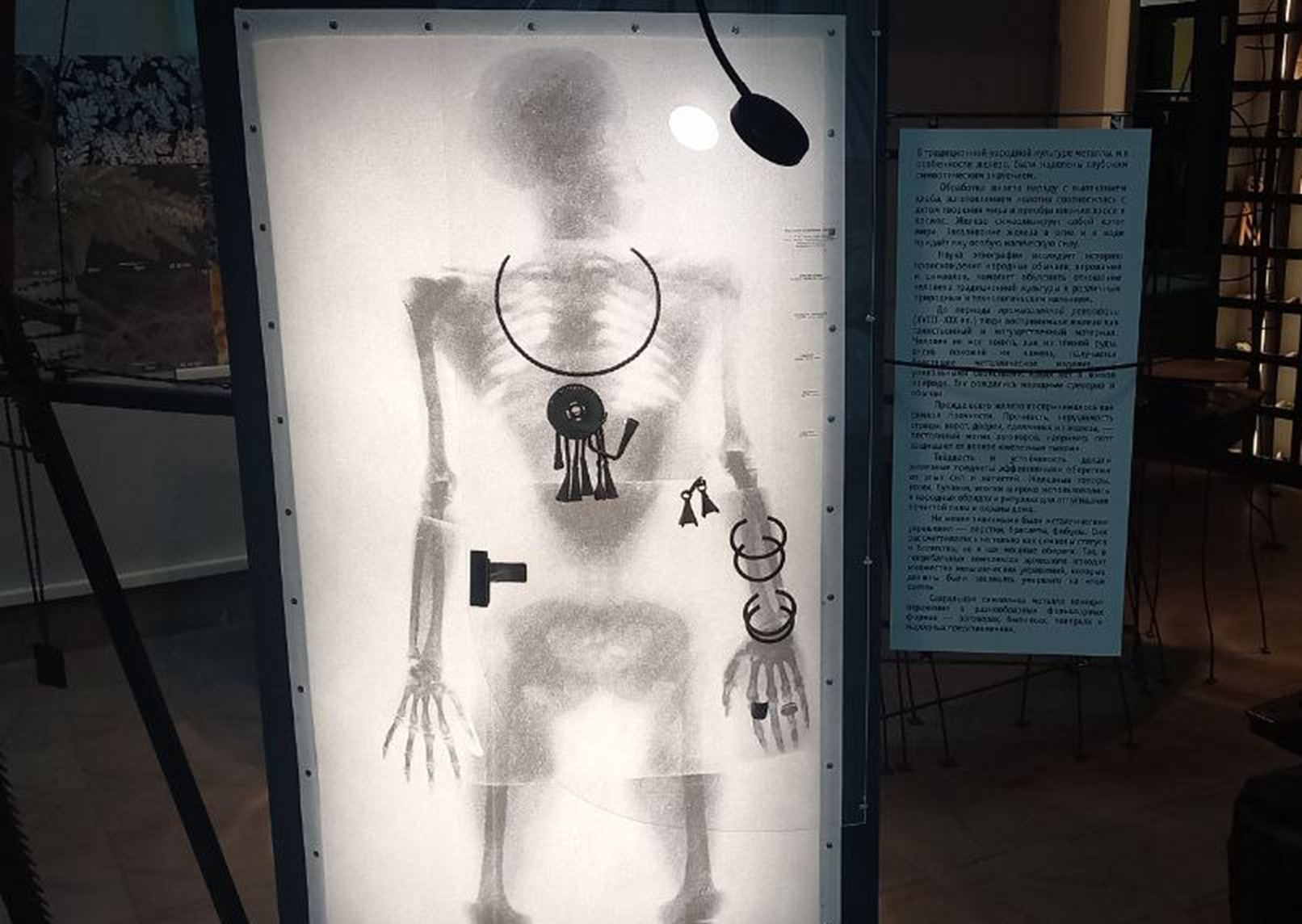 Зоологический музей + детективно-интерактивный музейный проект «Диктатура металла»