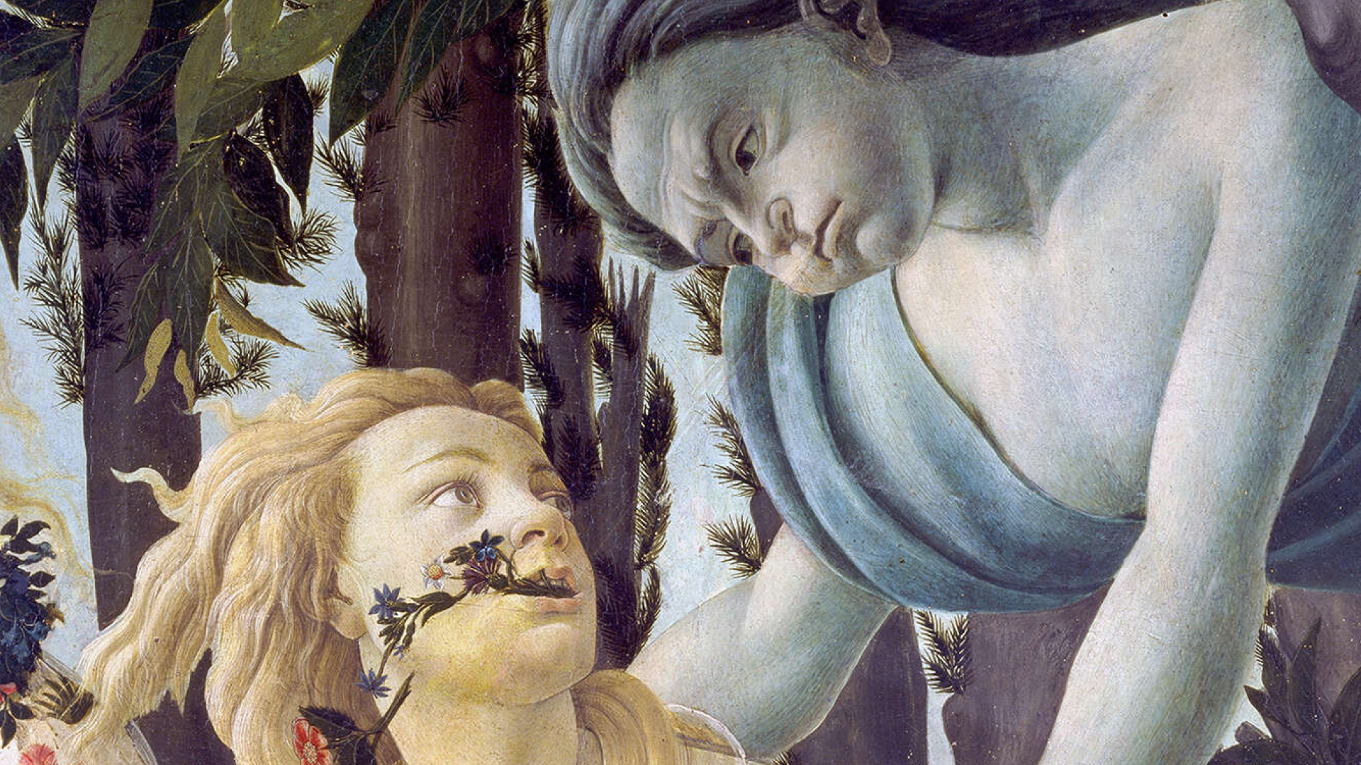 Философская лаборатория quercus. умозрение в красках: как философия искала смысл красоты