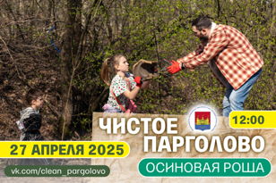 Чистое Парголово: Осиновая Роща