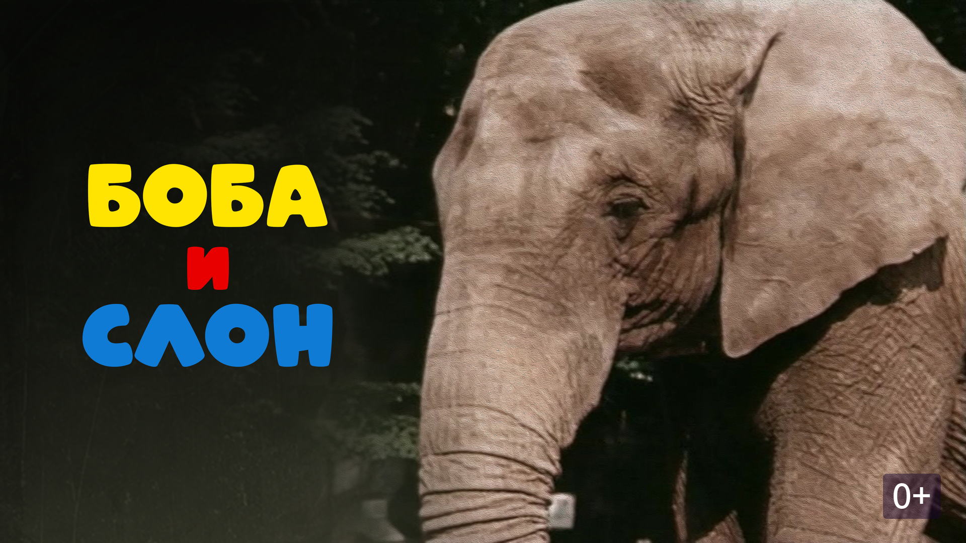 «Боба и слон»