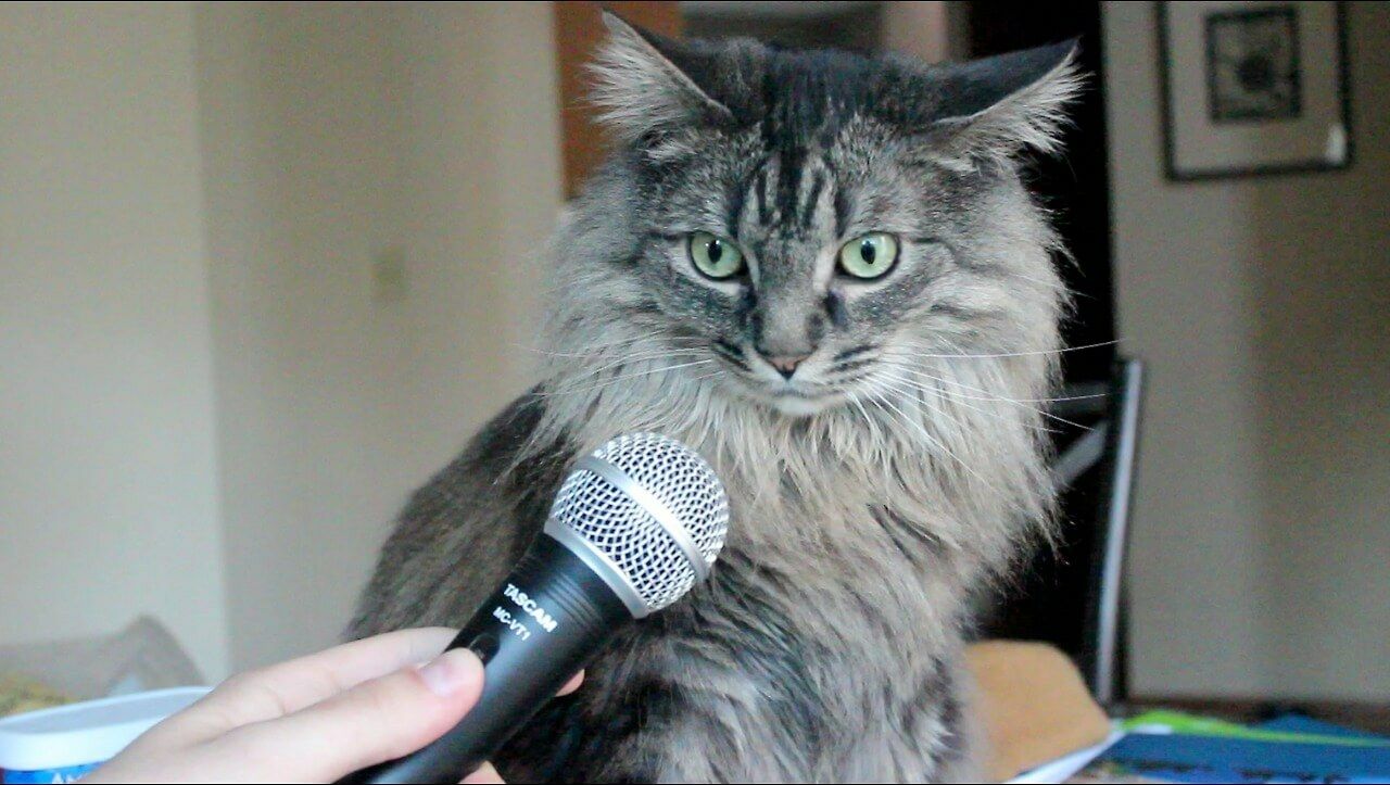 Терапевтичный сторителлинг: неожиданности и провалы