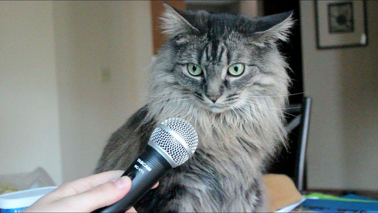 Терапевтичный сторителлинг: неожиданности и провалы