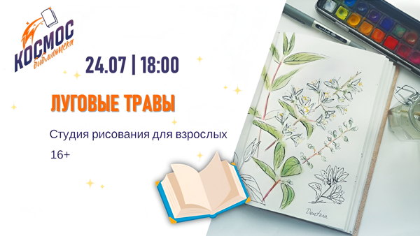 Луговые травы