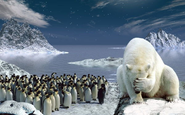 Лекция 6. Встреча пингвинов с белыми медведями (Биогеографические закономерности)