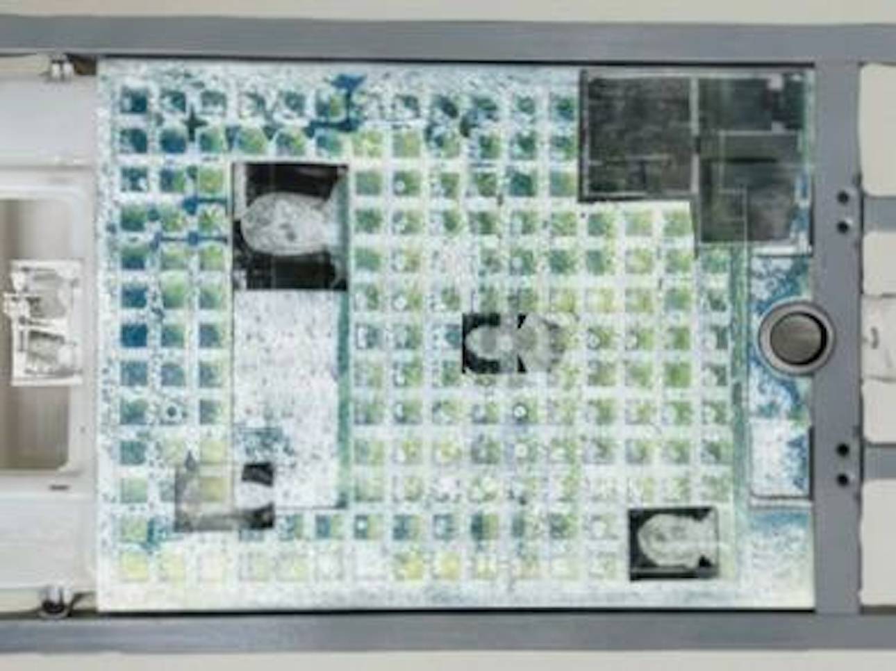 Финисаж персональной выставки Анны Тут