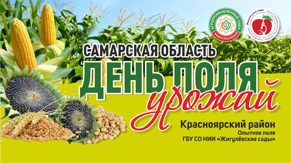 Осенний день поля. Урожай