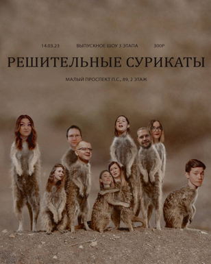 Решительные сурикаты