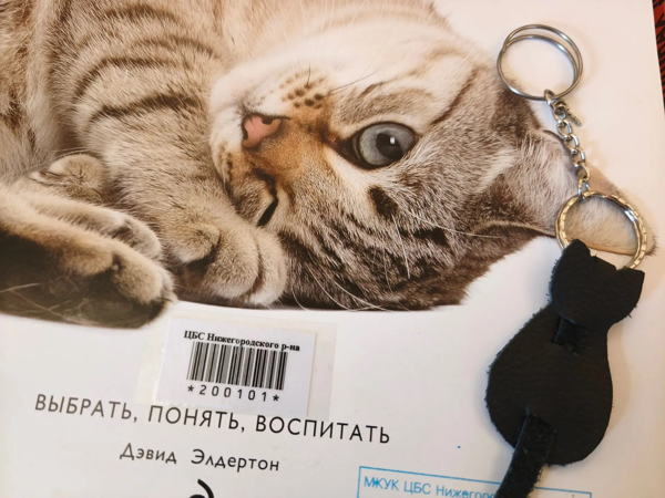 ProКошек