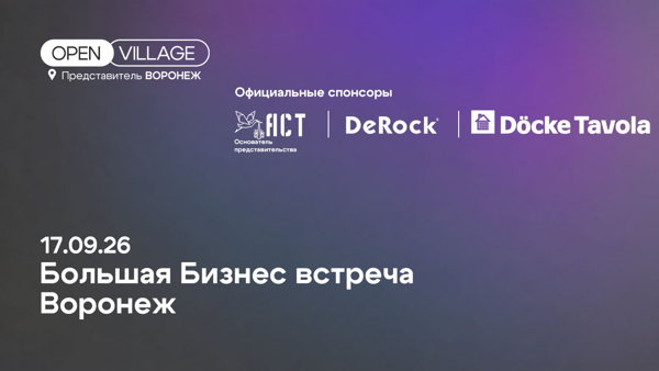 Большая Бизнес-встреча Open Village Воронеж