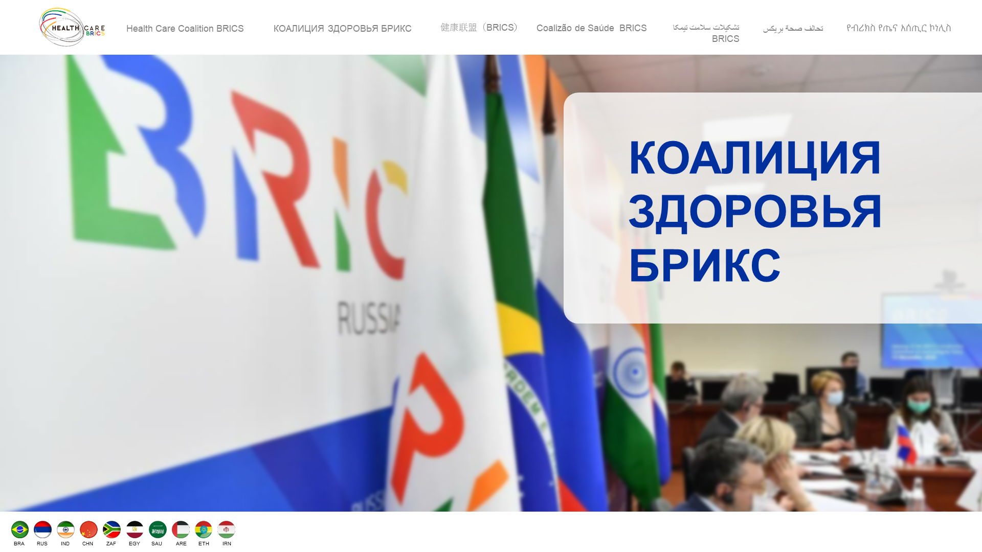 Круглый стол «Сотрудничество России, Африки и Альянса стран БРИКС в области медицины, реабилитации, здоровьесбережения и медико-гуманитарного образования»