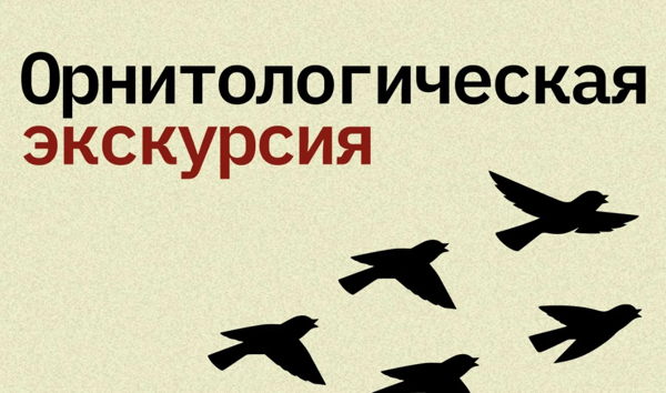 Орнитологическая экскурсия "Птичий квартет"