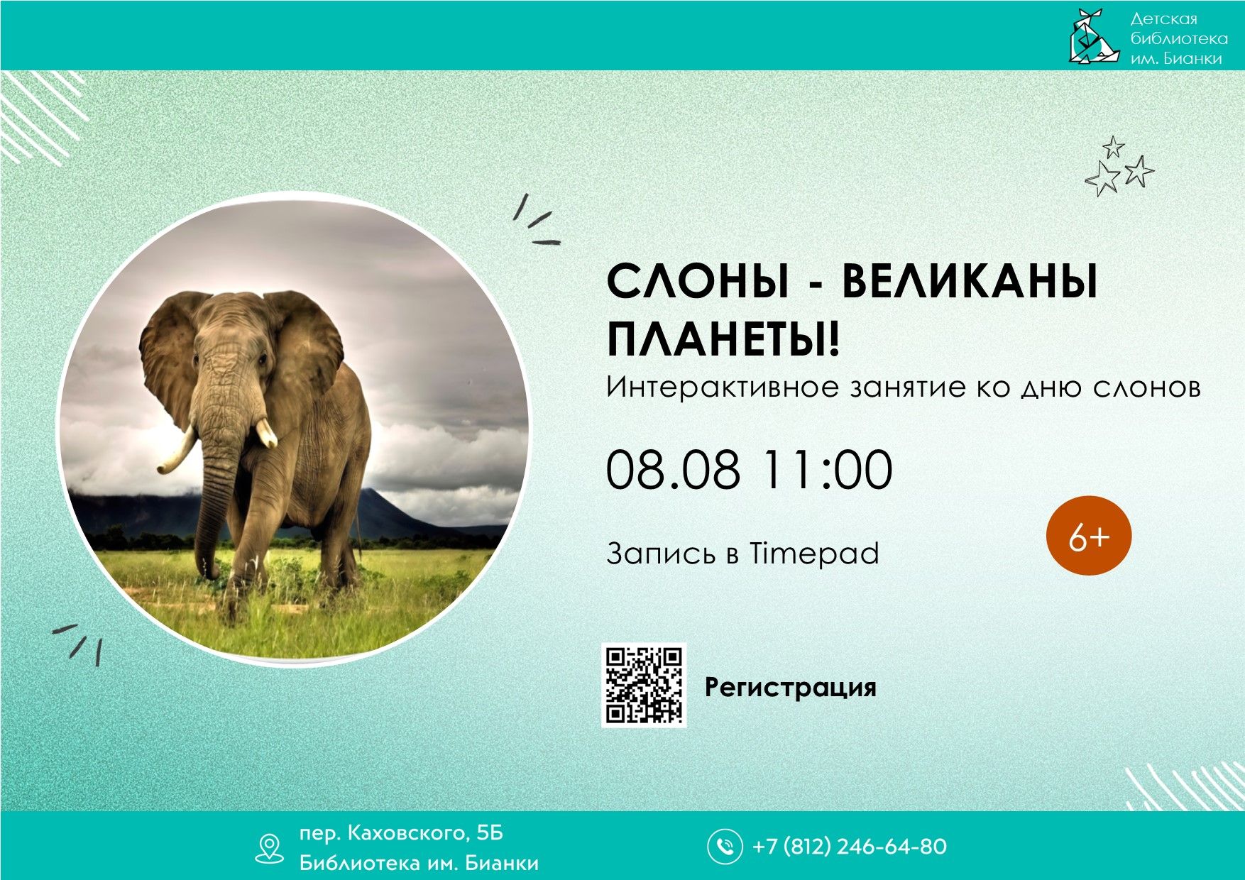 Слоны великаны планеты! 6+