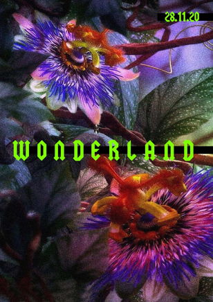 WONDERLAND |28.11