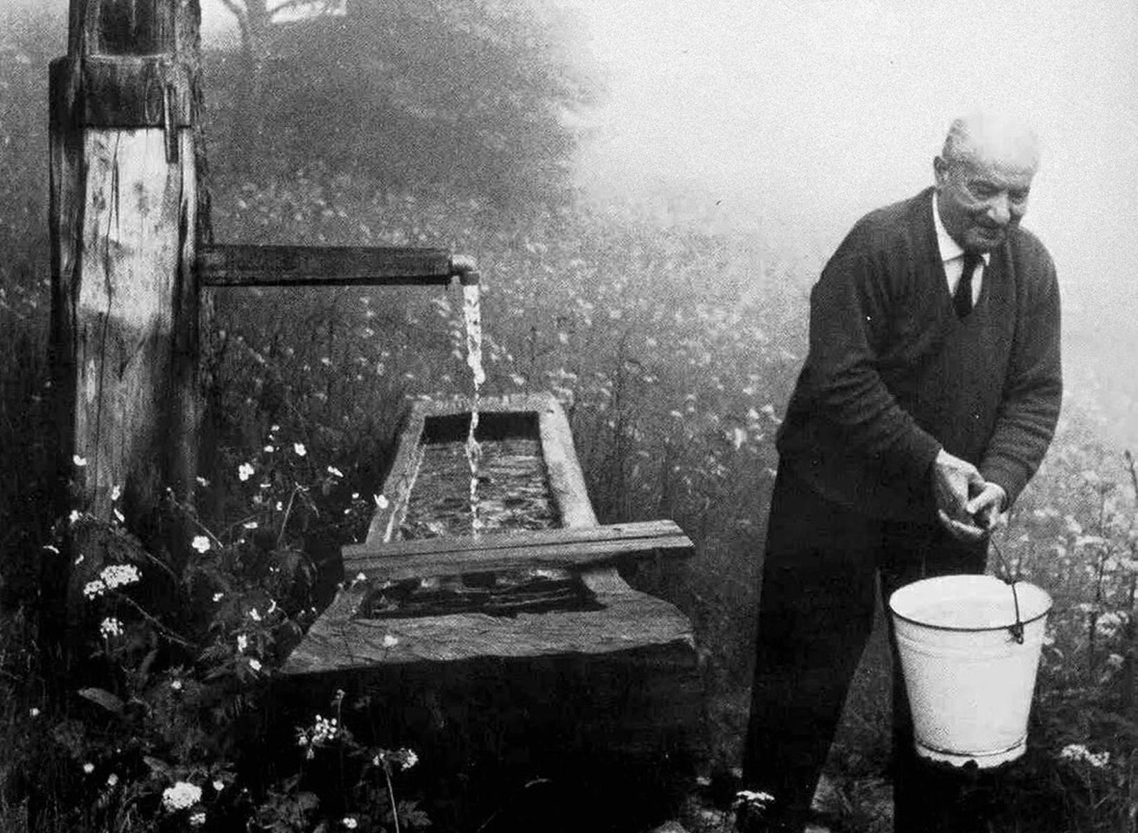 Лекция «Идея природы Мартина Хайдеггера и современная наука»