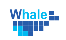 Спонсор Церемонии - Компания Whale Systems