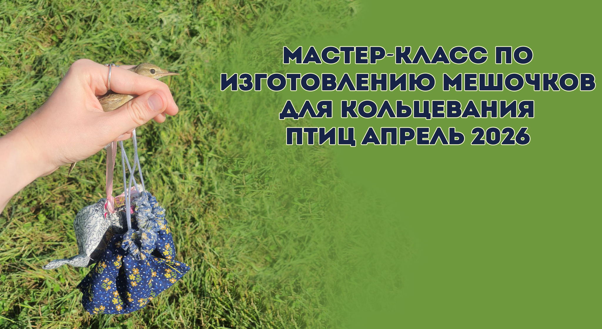 Мастер-класс по изготовлению мешочков для кольцевания птиц апрель 2026
