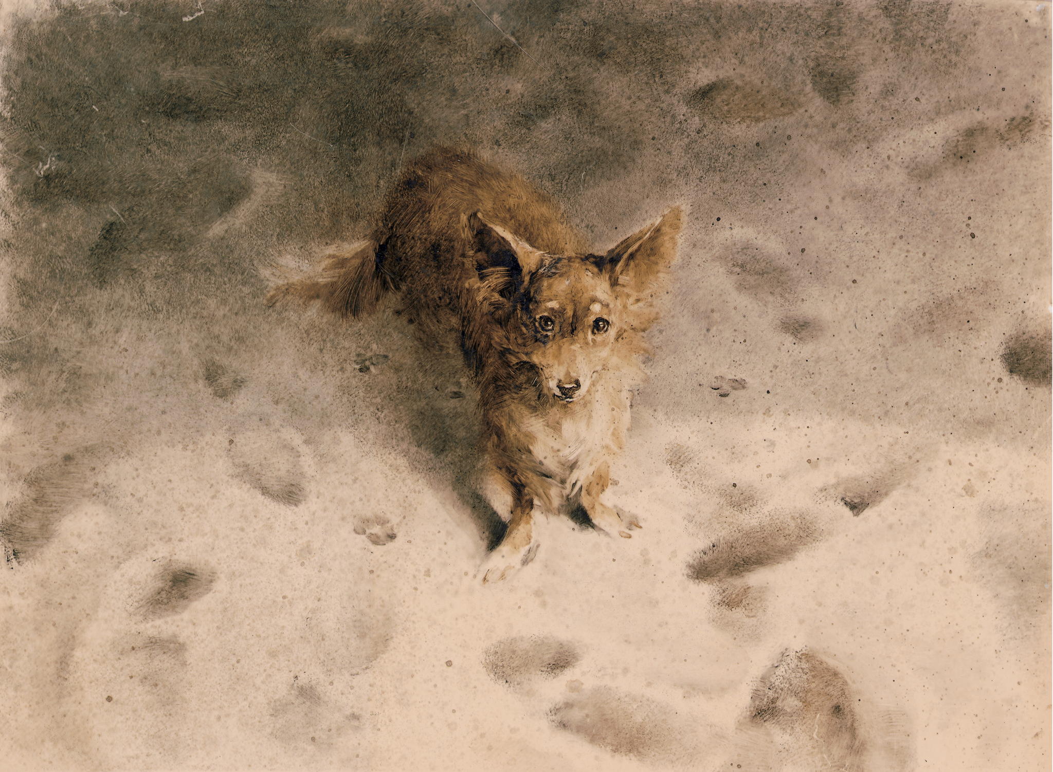 "Чехов и не только". Наталья Демидова. Выставка иллюстраций