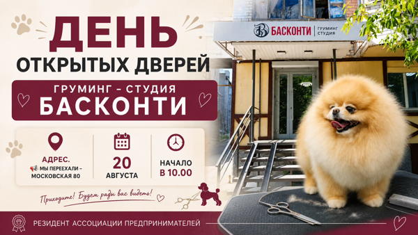 День открытых дверей в груминг-студии «БАСКОНТИ». Практический взгляд на бизнес в условиях новой реальности