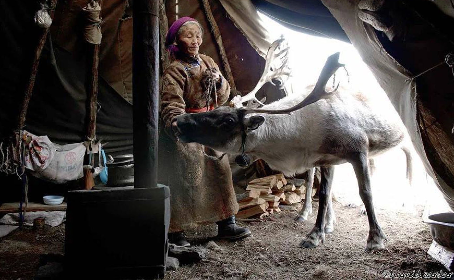 в 15:00 Этнографическая программа в чуме цаатанов в Музее кочевой культуры. 8+