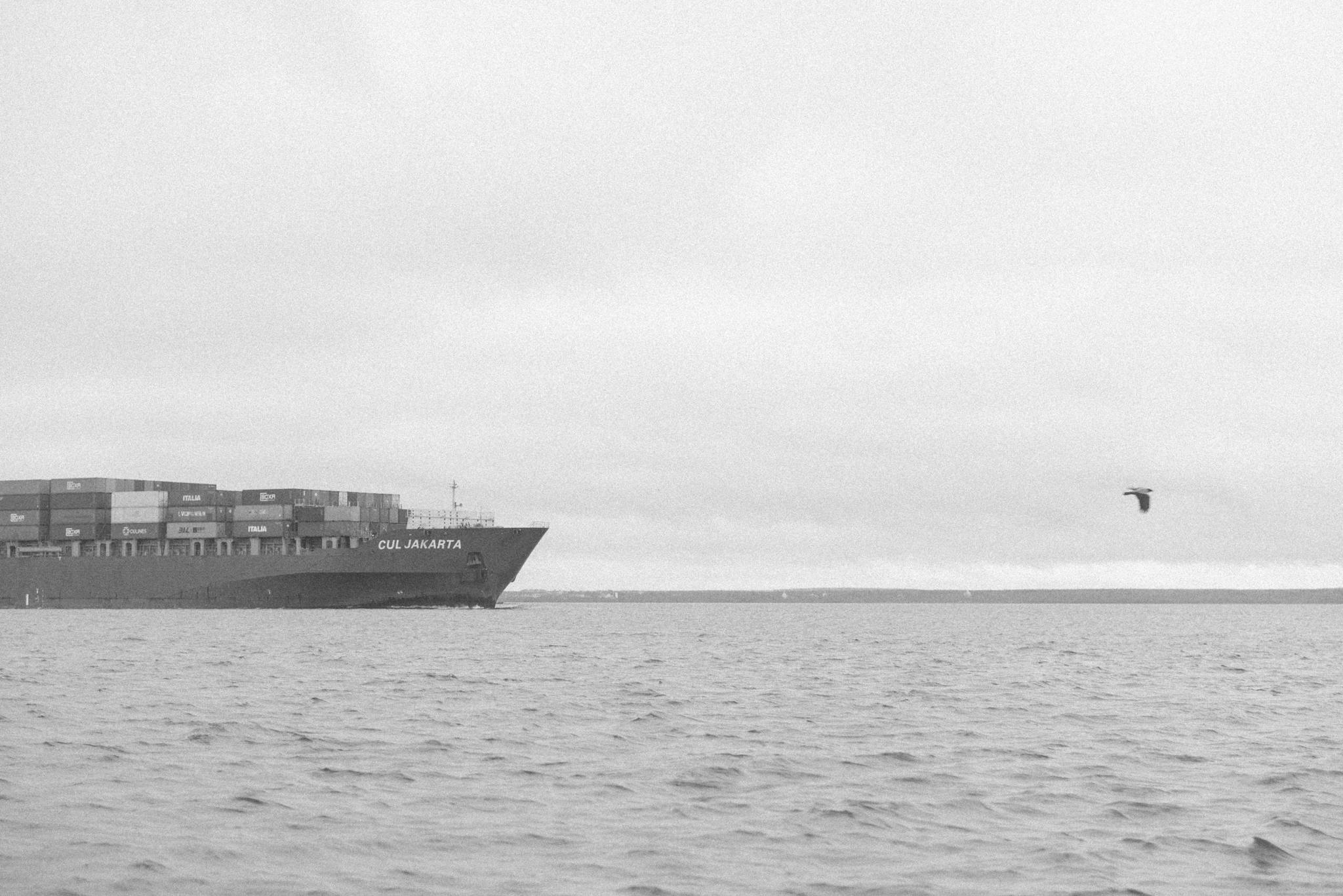 Кураторская медиация по выставке "Смотритель маяка"