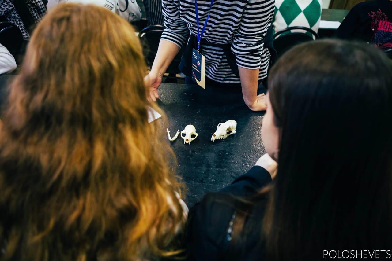 в 13:30 "Трогательная" лекция "Черепа и кости" с зоологом Натальей Илларионовой. 8+