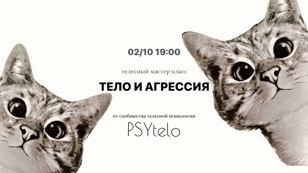 Мастер-класс «Тело и агрессия»