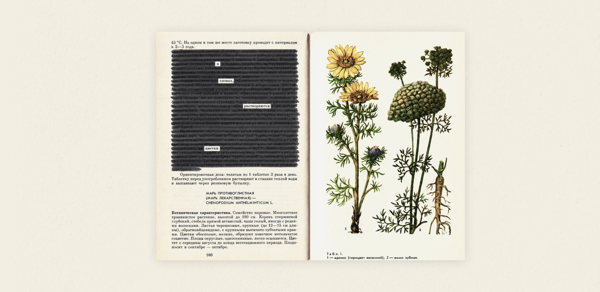 Нужное подчеркнуть: визуальные поэтические практики