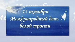 Экскурсия «Библиотека на ощупь»