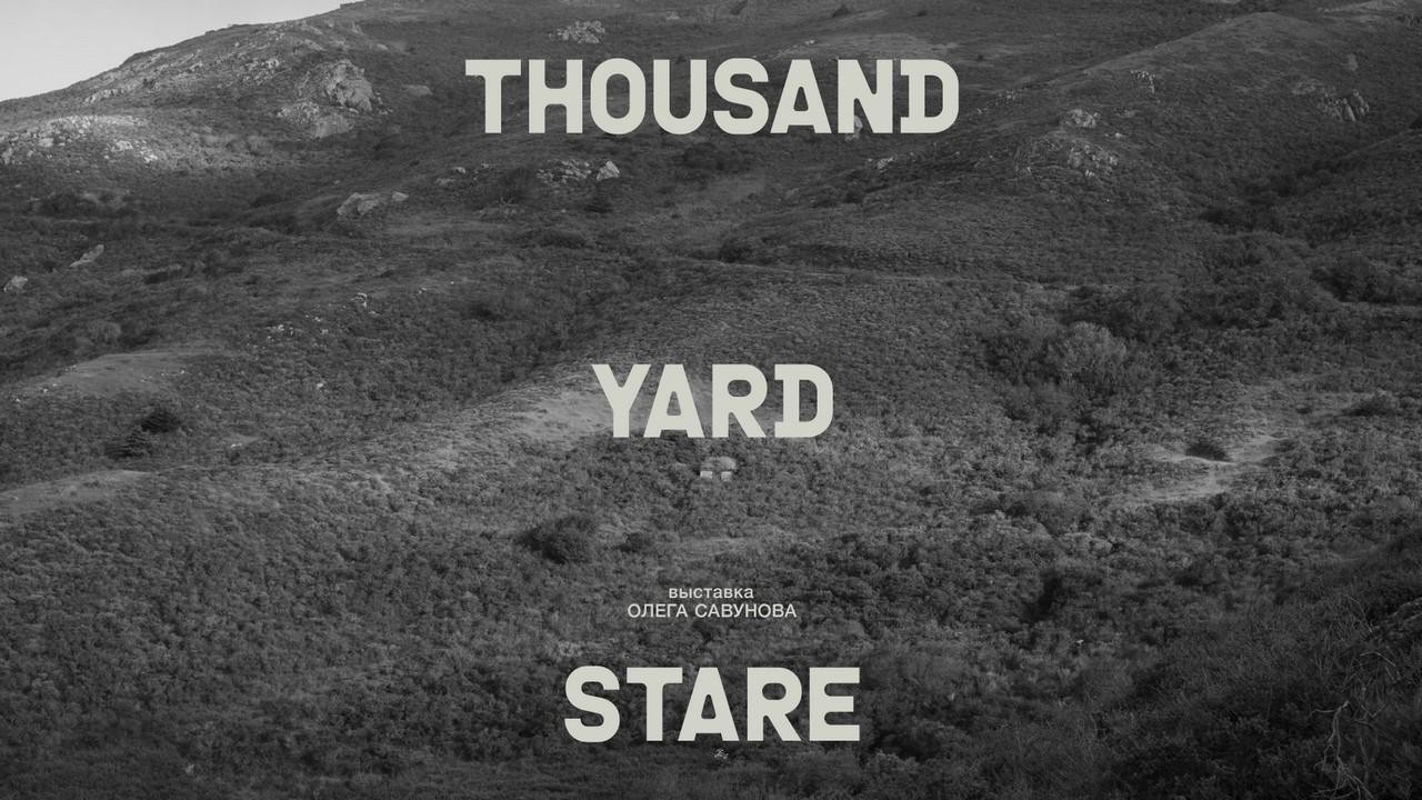 Медиация Алисы Лакшиной по выставке Олега Савунова thousand yard stare