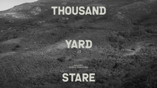Медиация Алисы Лакшиной по выставке Олега Савунова thousand yard stare