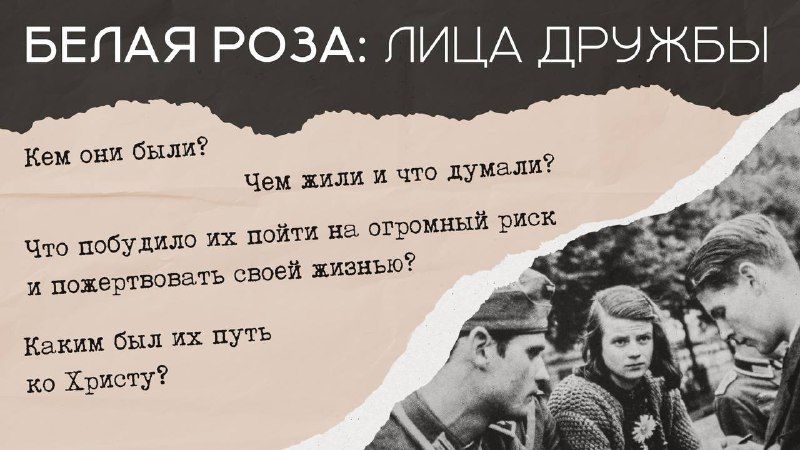 Белая роза: лица дружбы. Экскурсии по выставке