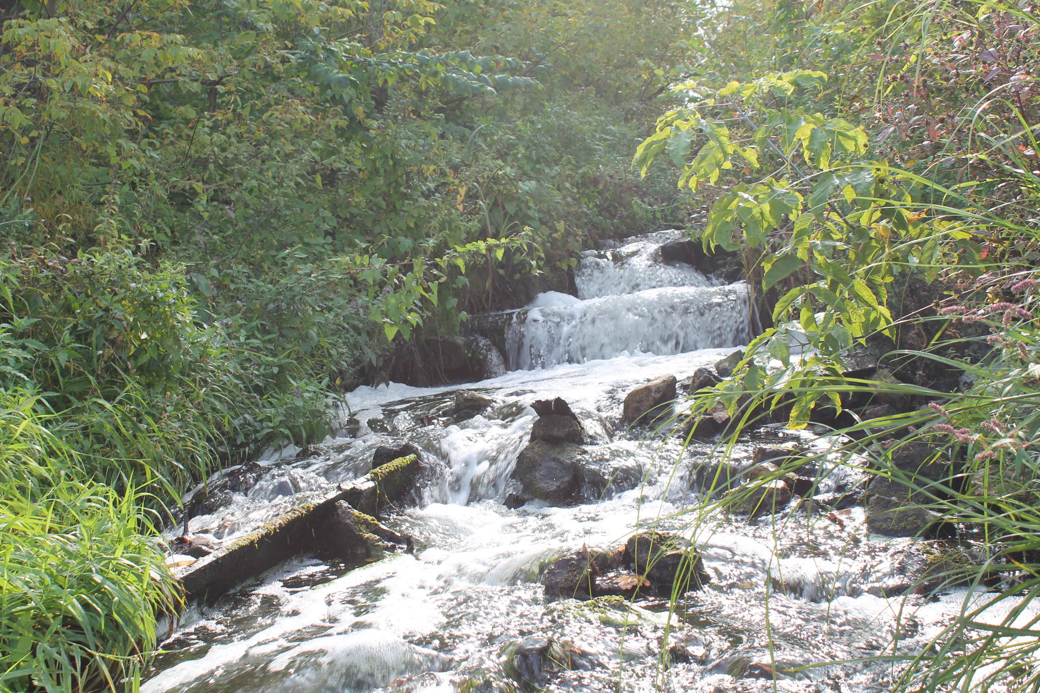 Внутренняя жизнь Бурнаковки. Экскурсия с тем, кто умеет менять свой район