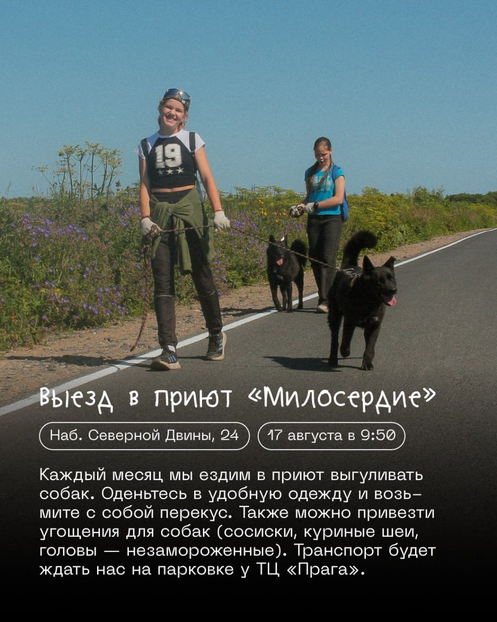 Выезд в приют | АрхИНФ