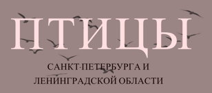 ПТИЦЫ САНКТ-ПЕТЕРБУРГА И ЛЕНИНГРАДСКОЙ ОБЛАСТИ